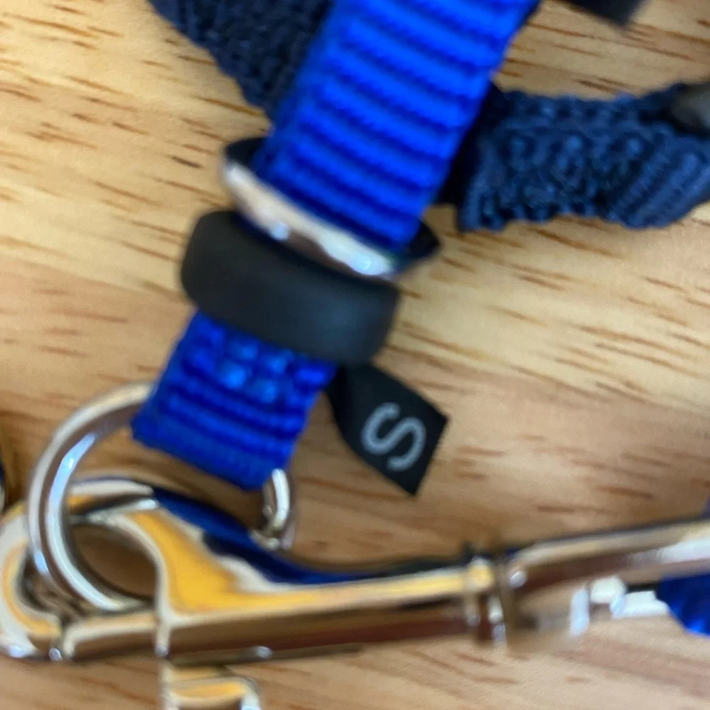 Premier Pet Safe Cat Bungee Leash and Harness